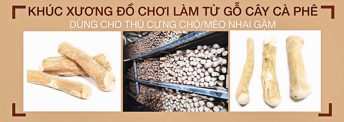 hoangtrungtaynguyen